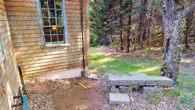 30 Wilkinson Ln, Machiasport, ME 04655 - view of yard