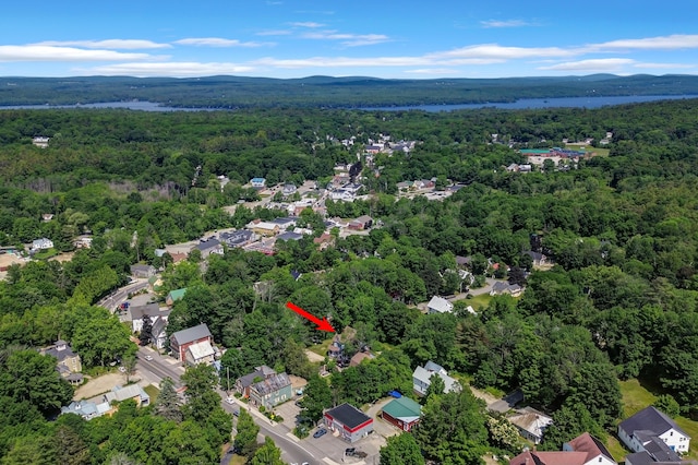 3 Fowler St, Bridgton, ME 04009 - photo 19