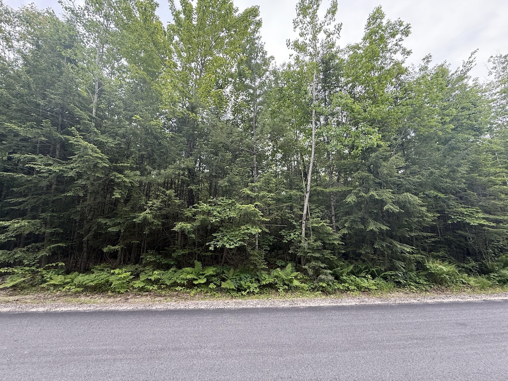 LOT1 Swamp Rd, Bridgton, ME 04009 - photo 1