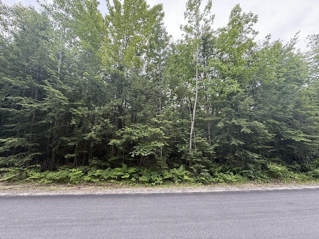 LOT1 Swamp Rd, Bridgton, ME 04009 - photo 1