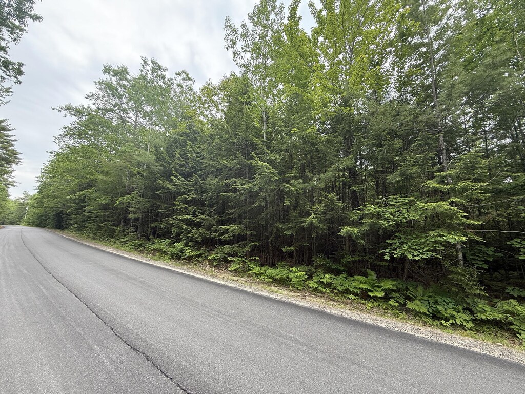 LOT1 Swamp Rd, Bridgton, ME 04009 - photo 2