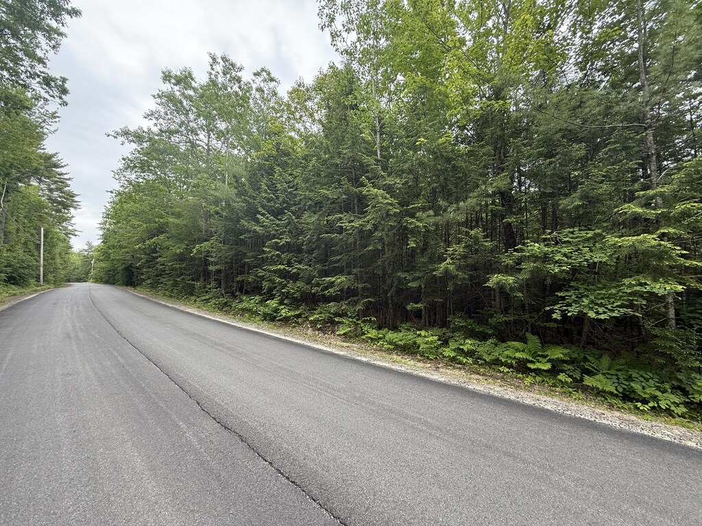 LOT1 Swamp Rd, Bridgton, ME 04009 - photo 4