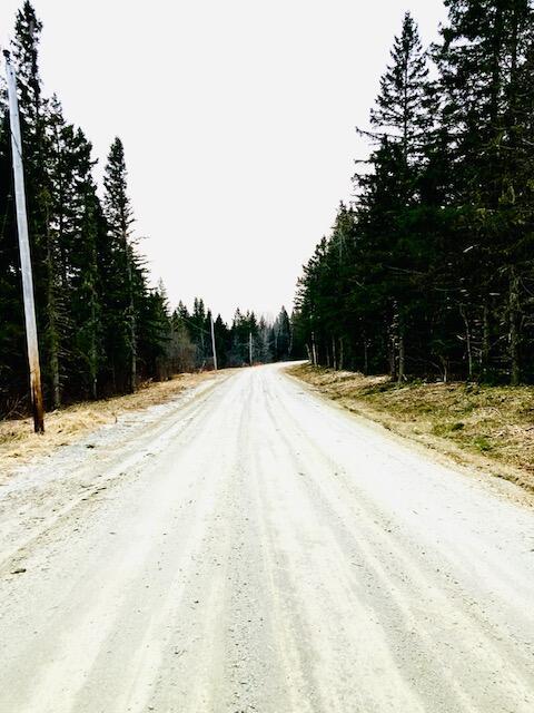 1LOTAT Blaine School Rd, Fort Kent, ME 04743 - photo 3