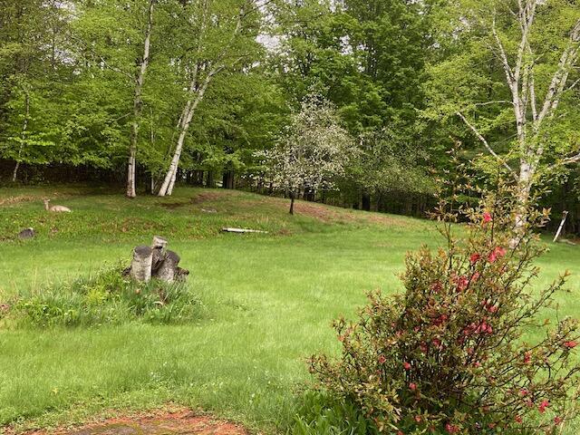 109 Beechwood Ln, Farmington, ME 04938 - photo 92