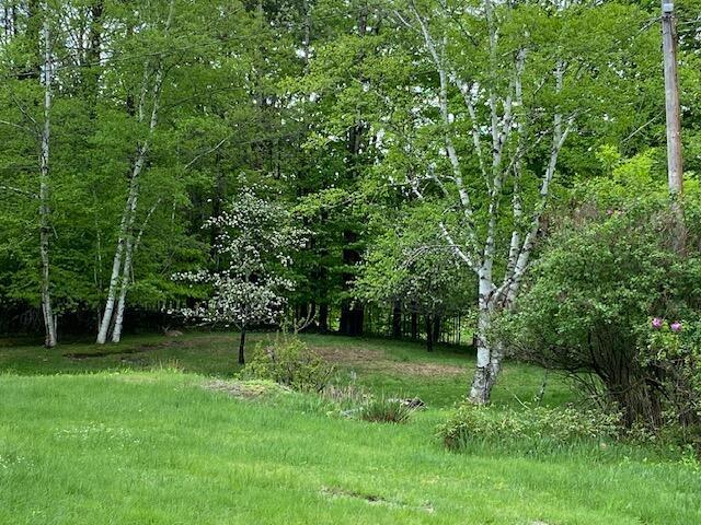 109 Beechwood Ln, Farmington, ME 04938 - photo 96