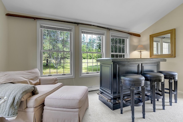 9 Crosby Ln Unit 1, Newry, ME 04261 - bedroom featuring vaulted ceiling, multiple windows, baseboard heating, light carpet, and a bar
