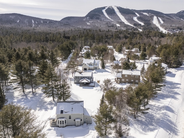 9 Crosby Ln Unit 1, Newry, ME 04261 - mountain view featuring a heavily wooded area