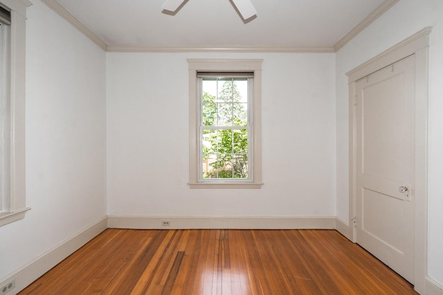 53 Clinton St, Portland, ME 04103 - photo 12