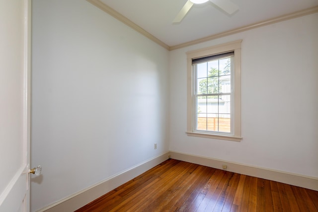 53 Clinton St, Portland, ME 04103 - photo 13
