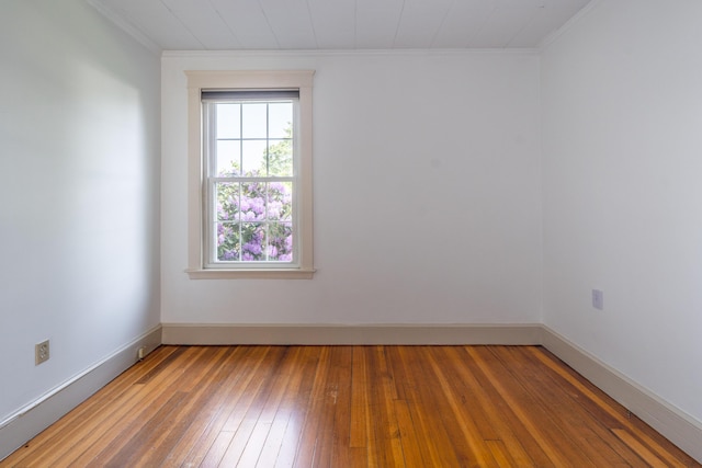 53 Clinton St, Portland, ME 04103 - photo 16
