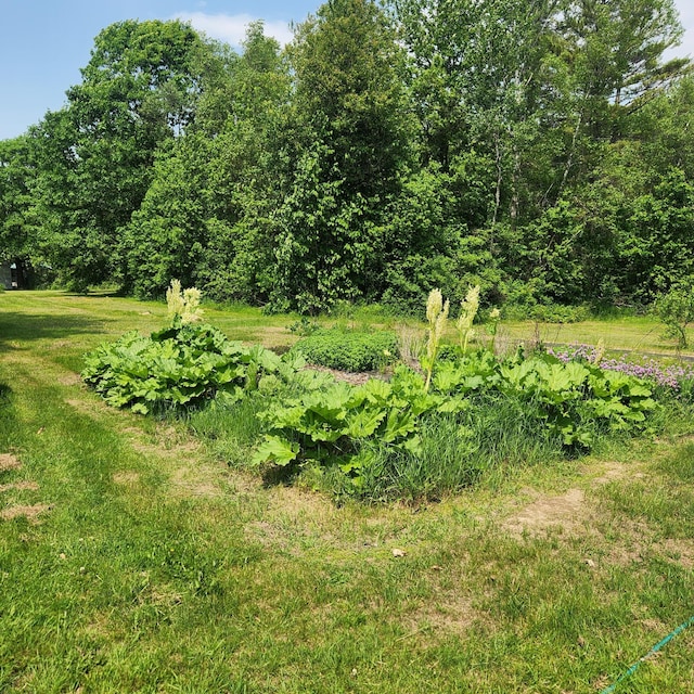 485 Main Rd, Passadumkeag, ME 04475 - view of local wilderness