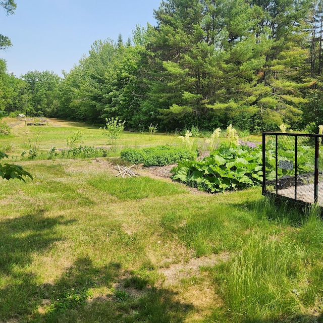 485 Main Rd, Passadumkeag, ME 04475 - view of yard