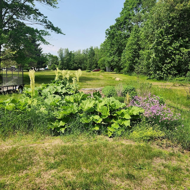 485 Main Rd, Passadumkeag, ME 04475 - view of yard