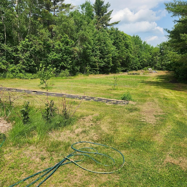 485 Main Rd, Passadumkeag, ME 04475 - view of yard