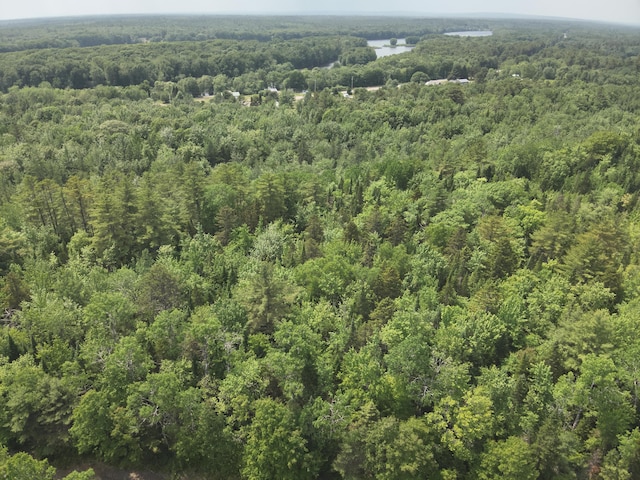 485 Main Rd, Passadumkeag, ME 04475 - view of property location featuring a heavily wooded area