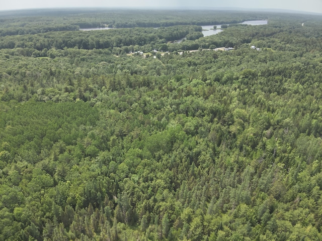 485 Main Rd, Passadumkeag, ME 04475 - aerial view of property's location with a forest
