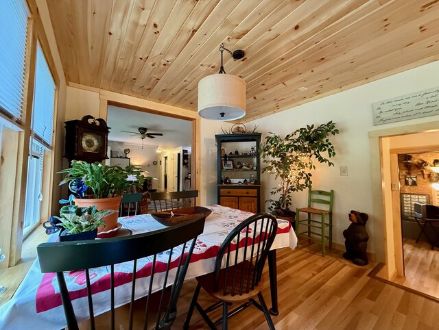 49 31st St, Shapleigh, ME 04076 - dining space with wood ceiling, wood finished floors, and ceiling fan