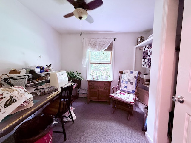 49 31st St, Shapleigh, ME 04076 - carpeted office space with ceiling fan