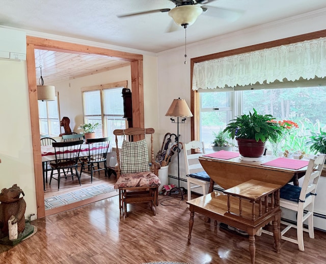49 31st St, Shapleigh, ME 04076 - sitting room with ceiling fan, wood finished floors, plenty of natural light, and ornamental molding