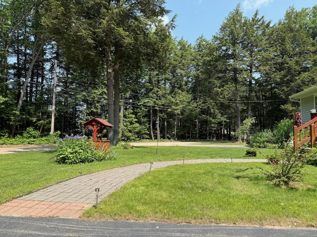 49 31st St, Shapleigh, ME 04076 - view of grassy yard