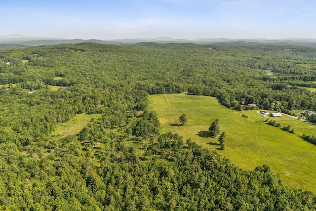 LOT13 Milton Mills Rd, Acton, ME 04001