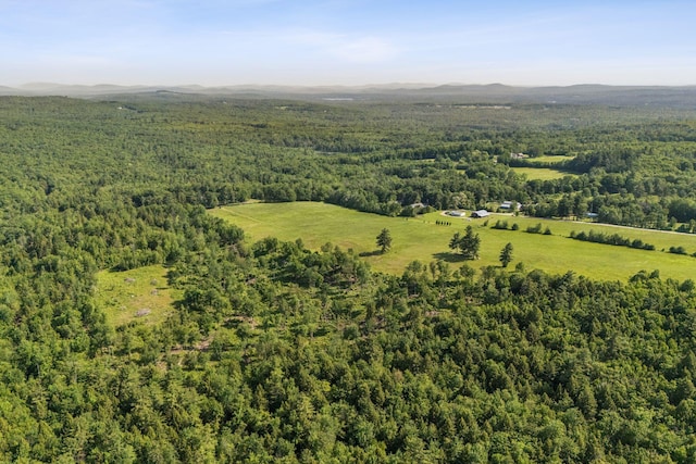 LOT13 Milton Mills Rd, Acton, ME 04001