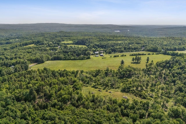 LOT13 Milton Mills Rd, Acton, ME 04001