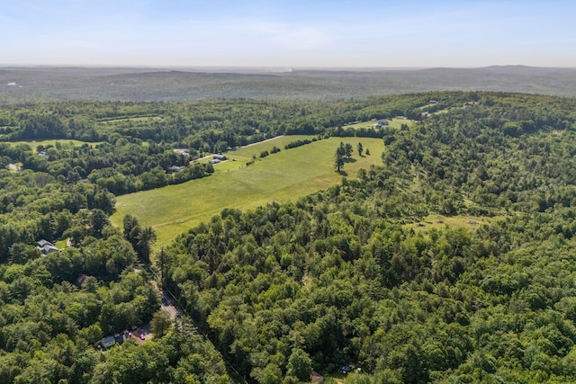 LOT13 Milton Mills Rd, Acton, ME 04001