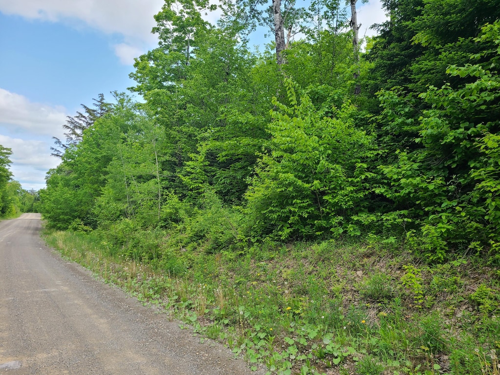 LOT16C Kinney Rd, Blaine, ME 04734 - photo 2