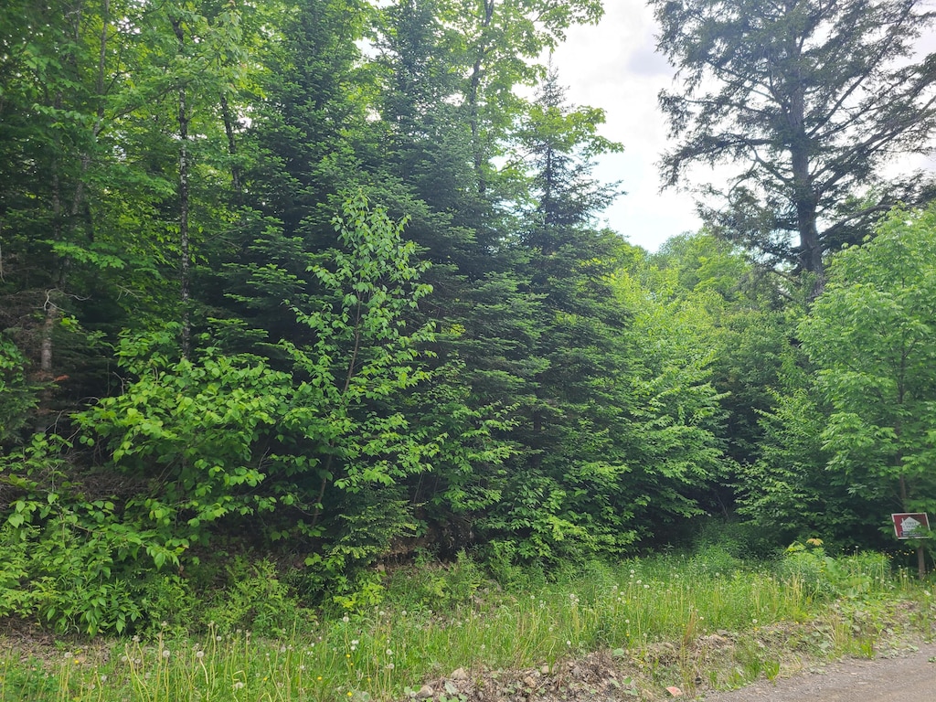 LOT16C Kinney Rd, Blaine, ME 04734 - photo 3