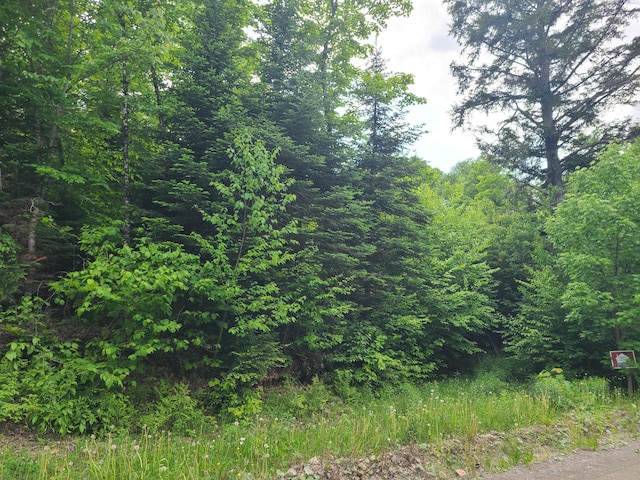 LOT16C Kinney Rd, Blaine, ME 04734 - photo 3
