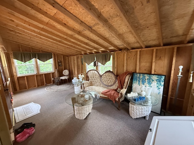 211 Hinckley Hill Rd, Carmel, ME 04419 - unfurnished room with healthy amount of natural light and lofted ceiling
