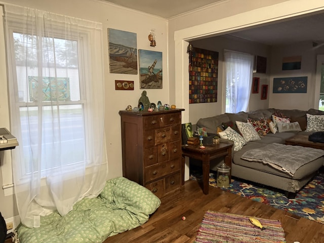 58 Elm St, Old Town, ME 04468 - living area featuring dark wood-style flooring and ornamental molding