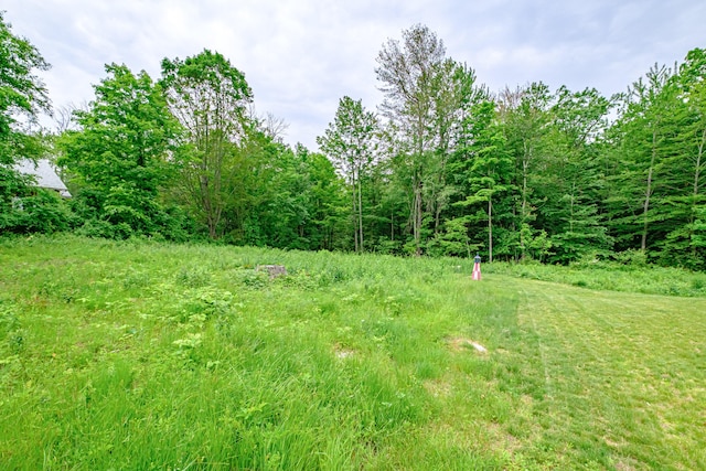 144 Ridley Rd, Sanford, ME 04073 - view of yard