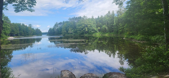 OFF Springy Pond Rd, Otis, ME 04428