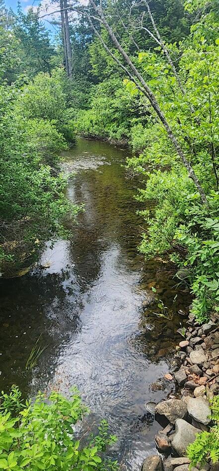 OFF Springy Pond Rd, Otis, ME 04428