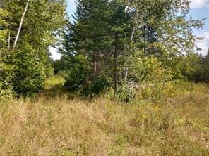 OFF Springy Pond Rd, Otis, ME 04428