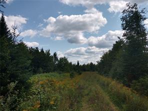 OFF Springy Pond Rd, Otis, ME 04428