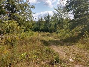 OFF Springy Pond Rd, Otis, ME 04428
