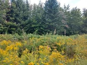 OFF Springy Pond Rd, Otis, ME 04428