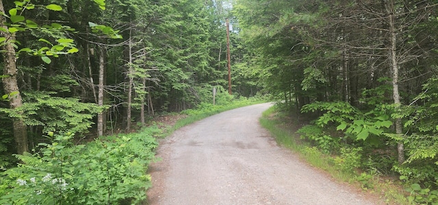 OFF Springy Pond Rd, Otis, ME 04428