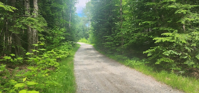OFF Springy Pond Rd, Otis, ME 04428