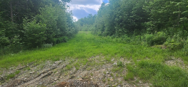 OFF Springy Pond Rd, Otis, ME 04428