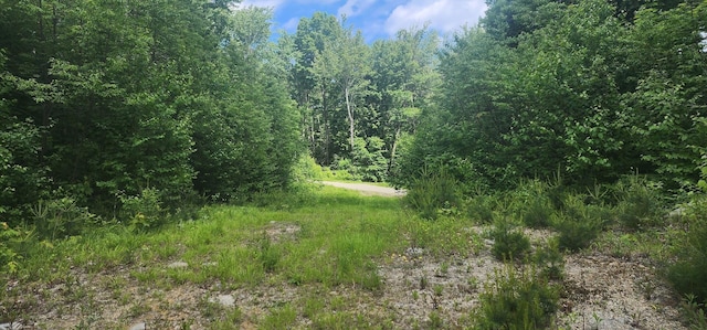 OFF Springy Pond Rd, Otis, ME 04428