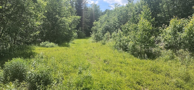 OFF Springy Pond Rd, Otis, ME 04428