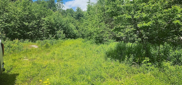 OFF Springy Pond Rd, Otis, ME 04428