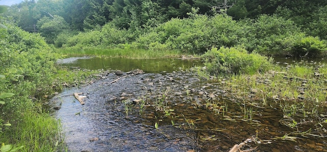 OFF Springy Pond Rd, Otis, ME 04428