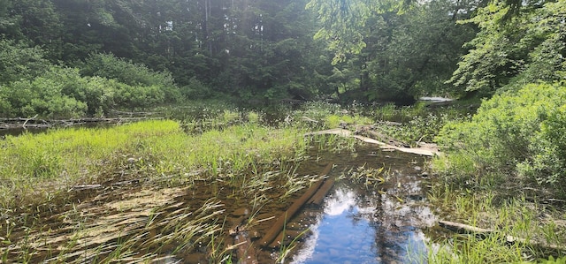OFF Springy Pond Rd, Otis, ME 04428