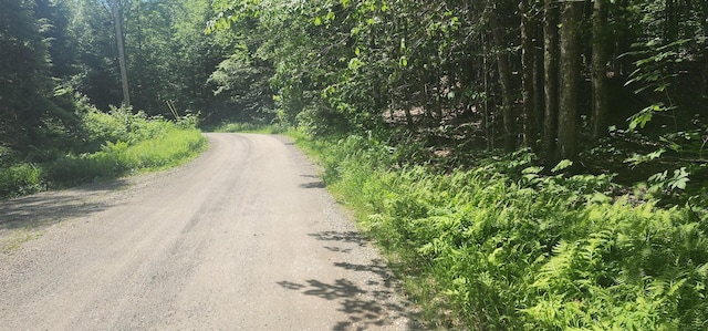 OFF Springy Pond Rd, Otis, ME 04428