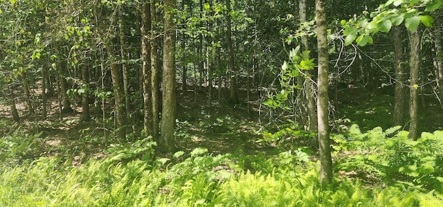 OFF Springy Pond Rd, Otis, ME 04428